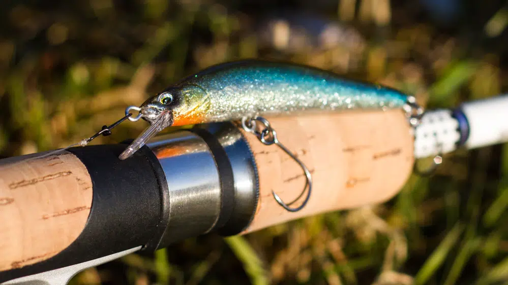 Erfolgreich auf Döbel mit der Three Shot Minnow Die Three Shot Minnow von Fish Arrow