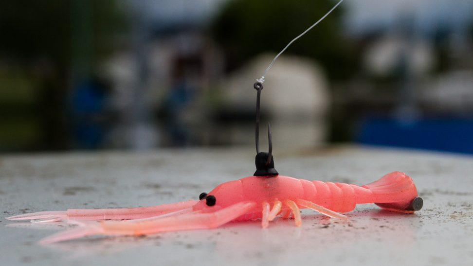 Das Neko Rig - Frill Shrimp