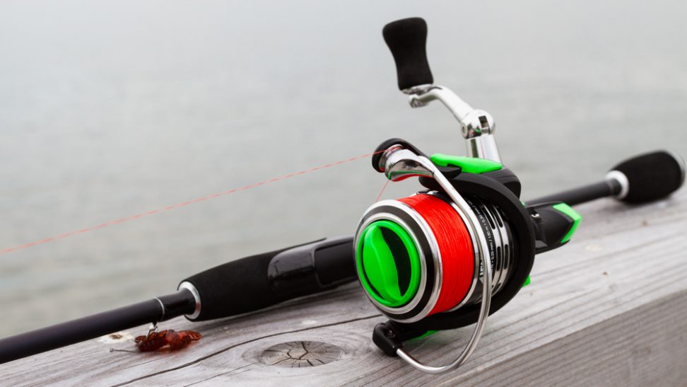 iFish Neo SX 2500