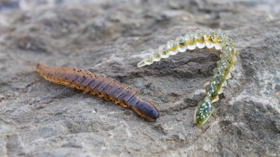 Keitech 3" Custom Leech | Barsch, Finesse & Ultra Light