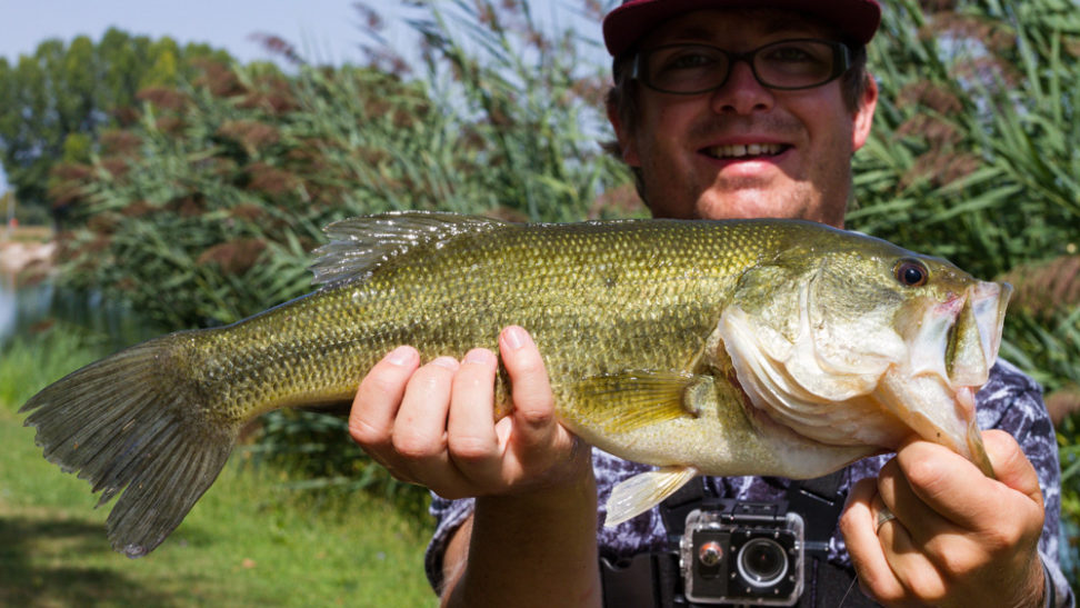 Bass PB auf die HMKL - Alive Tenaga