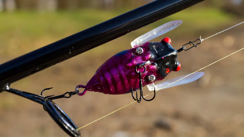 Topwater-Productions - Rock n Bug