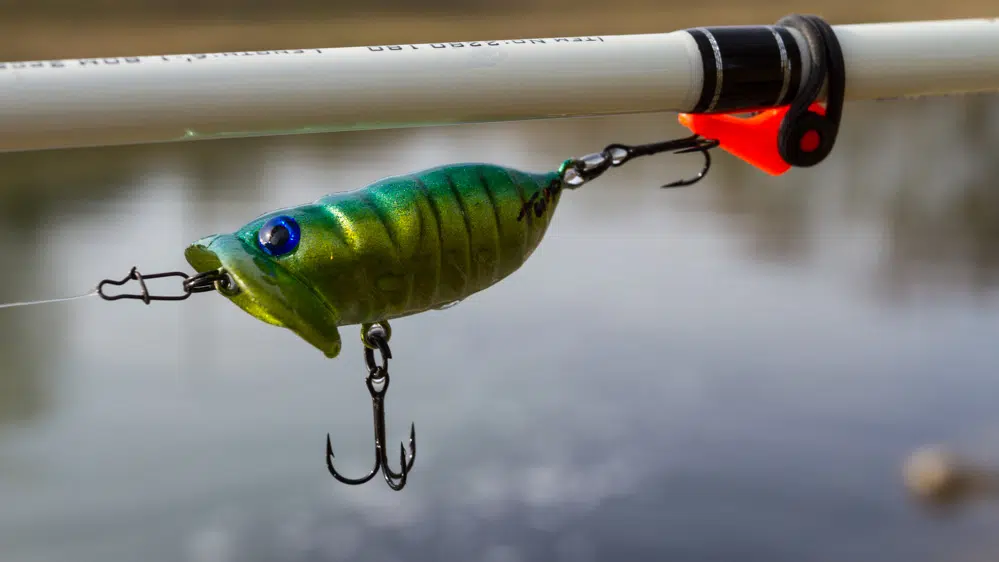 Topwater-Productions - Boogie Bug