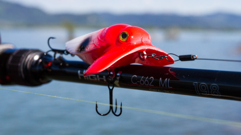 Topwater Productions - Alien Bug
