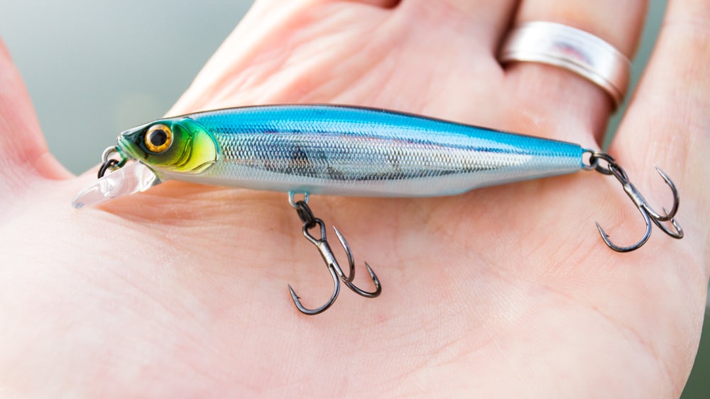 Bassday - Mogul Minnow 66SP Dart