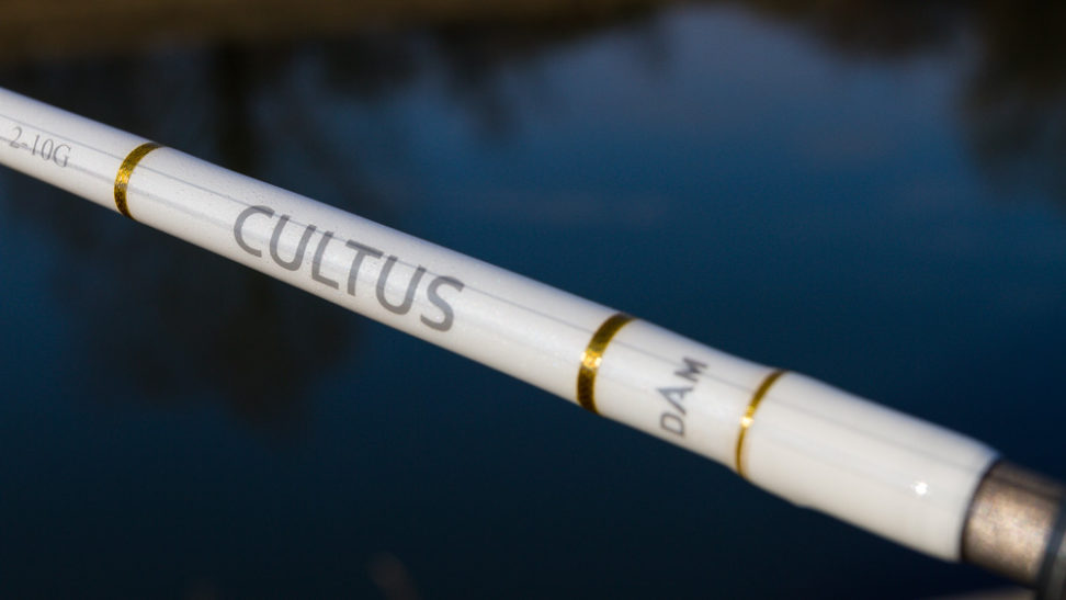 DAM - Cultus