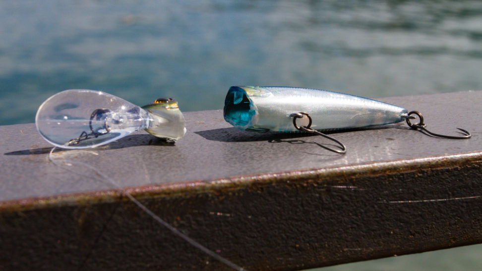 Bassday Mogul Shad