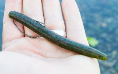 Soft Stickbait – Faszination Gumminudel