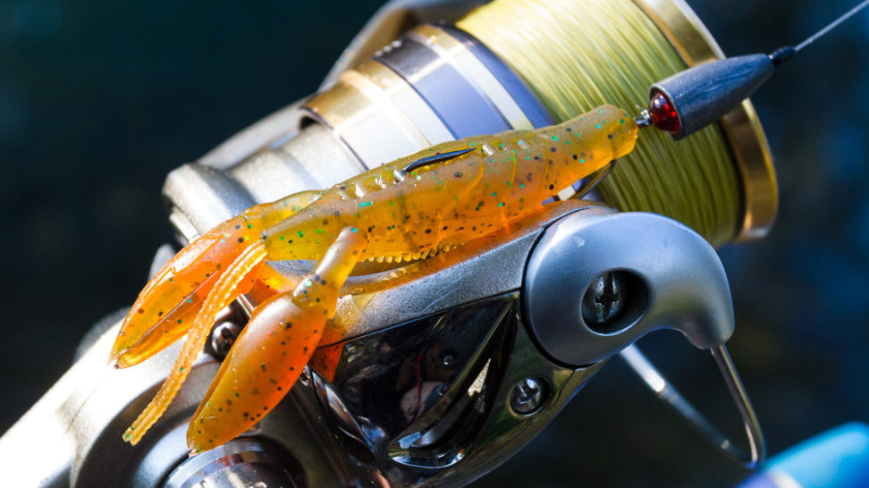 Biwaa - Armored Craw