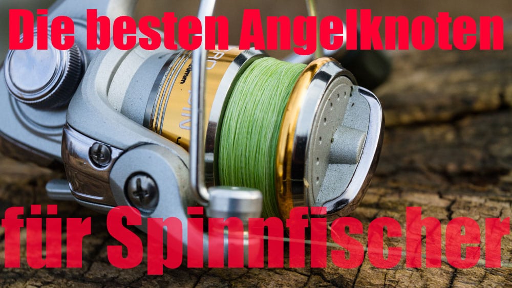 Die besten Angelknoten für Spinnfischer