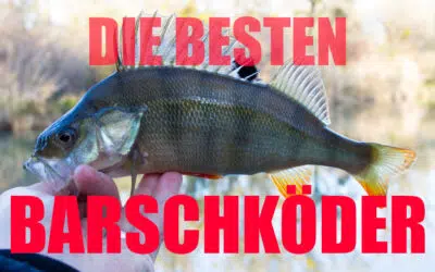 Die besten Barschköder