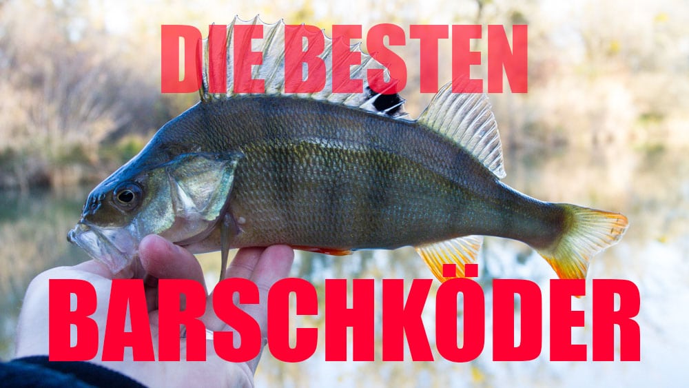 Die besten Barschköder