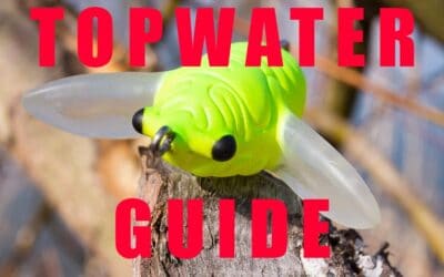 Topwater – Die Oberflächenköder Übersicht