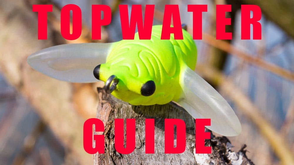 Topwater Guide