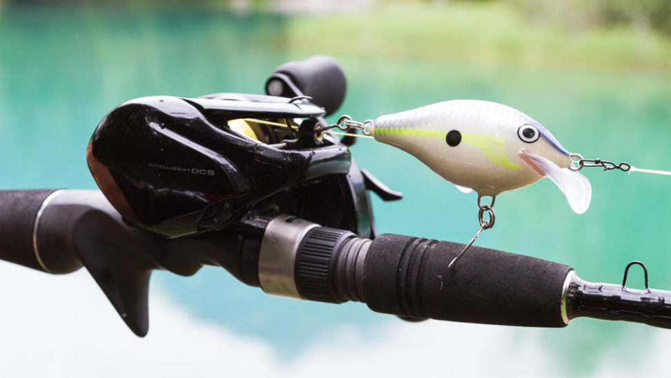 Shimano Scorpion DC und Scatter Rap Crank