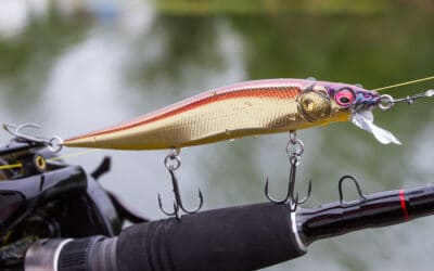 Mehr Fische fangen mit günstigeren Ködern