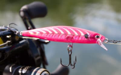 Rapala Shadow Rap 07