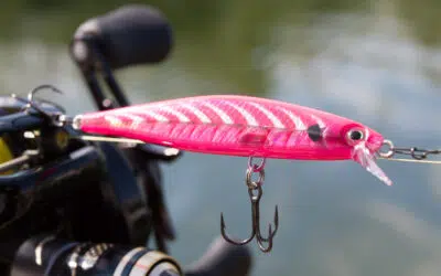 Rapala Shadow Rap 07