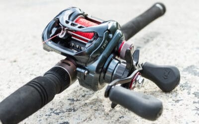 Baitcaster – Fragen und Antworten