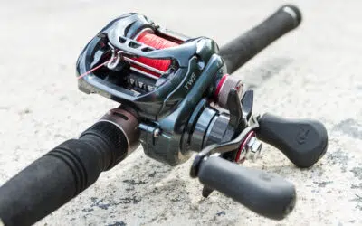 Baitcaster – Fragen und Antworten