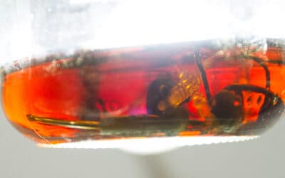 Haken entrosten mit Coca Cola
