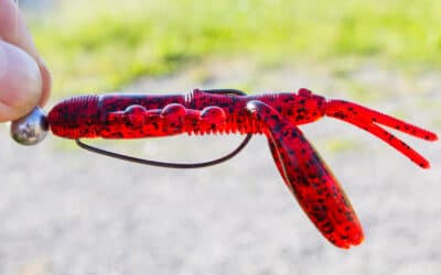 Damiki Air Craw