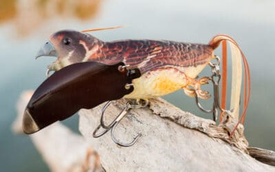 Chasebaits The Smuggler