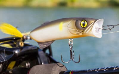 Die Vorteile von Topwater Ködern