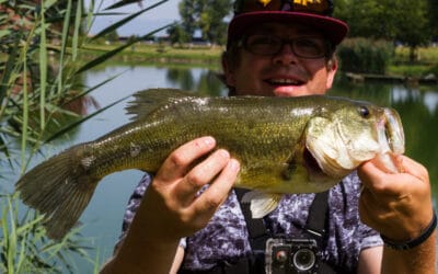 Welche Köder bei trübem Wasser?