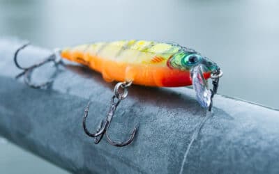 Rapala BX Minnow