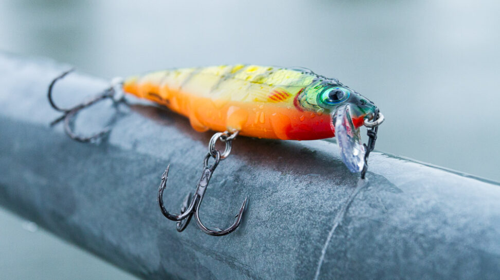 Rapala BX Minnow