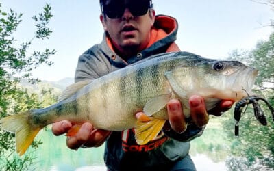 Barsch Personal Best – Mitglied im Club 40