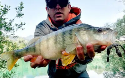 Barsch Personal Best – Mitglied im Club 40
