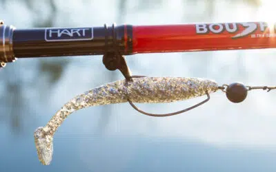 YUM Pulse Shad