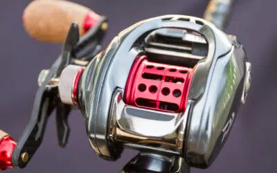 Daiwa Tatula SV TW BFS Tuning