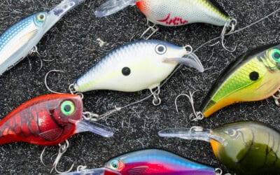 Richtig angeln mit Crankbaits