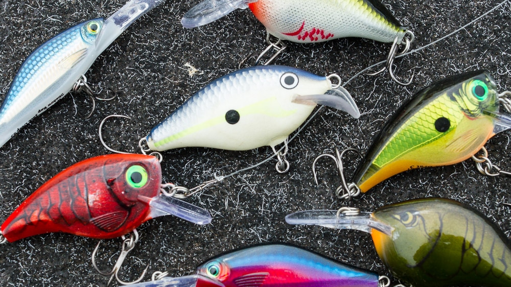 Richtig angeln mit Crankbaits