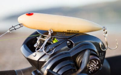 Walk The Dog Angeln leicht gemacht