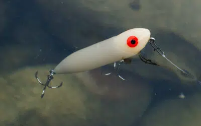 Heddon Zara Puppy