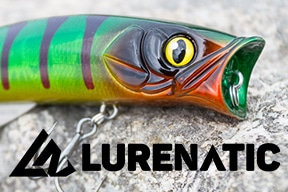 Lurenatic Banner