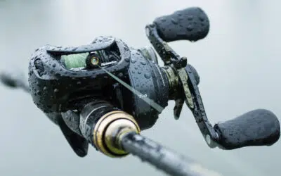Baitcaster Guide
