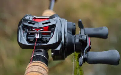 Daiwa Alphas Air TW