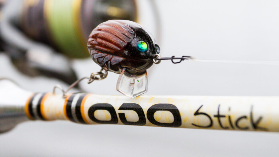 Salmo Lil Bug