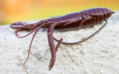 Daiwa X Prorex Both Craw