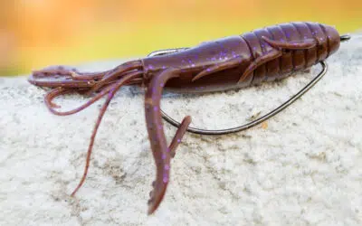 Daiwa X Prorex Both Craw