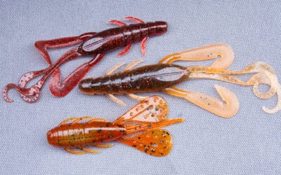 Krebse anködern – How to?