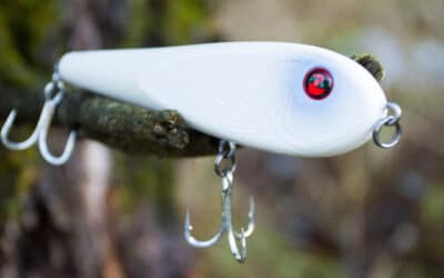 River2Sea ICBM (Inter Continental Ballistic Minnow)