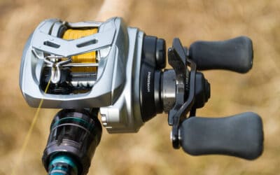 Daiwa Alphas SV TW 800