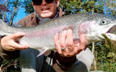 Mit der Baitcaster auf Forellen angeln