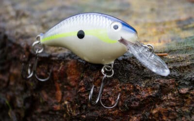 Rapala DT Crankbait Serie